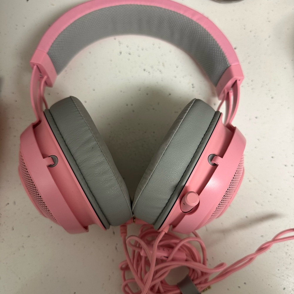 Pink and Gray Headphones